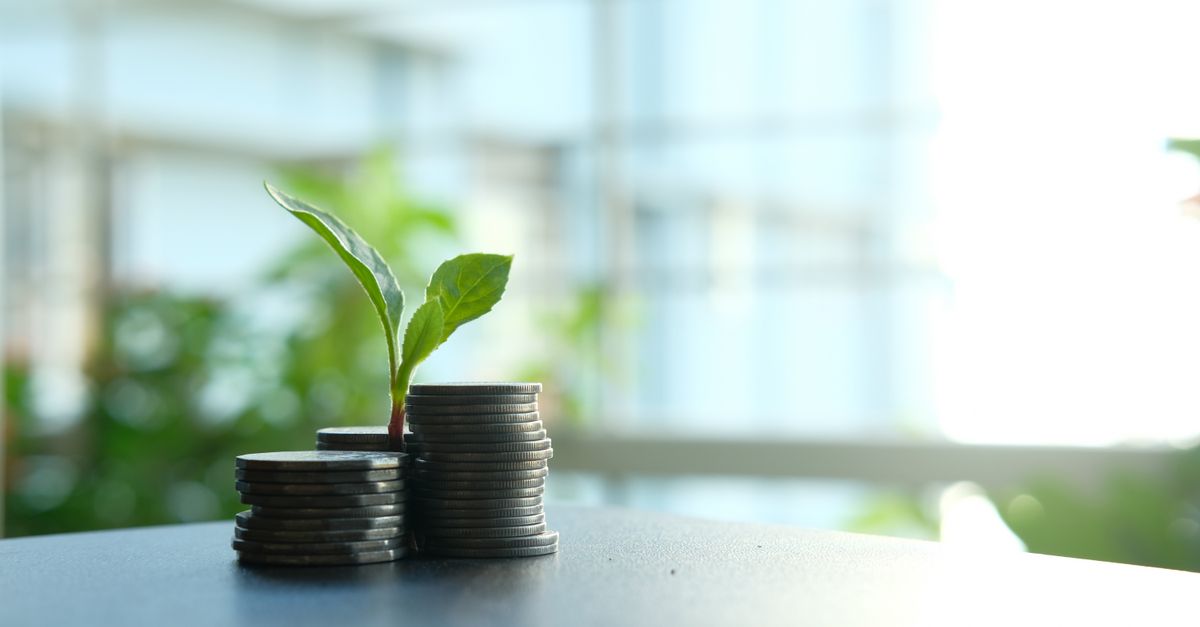 Investment schemes